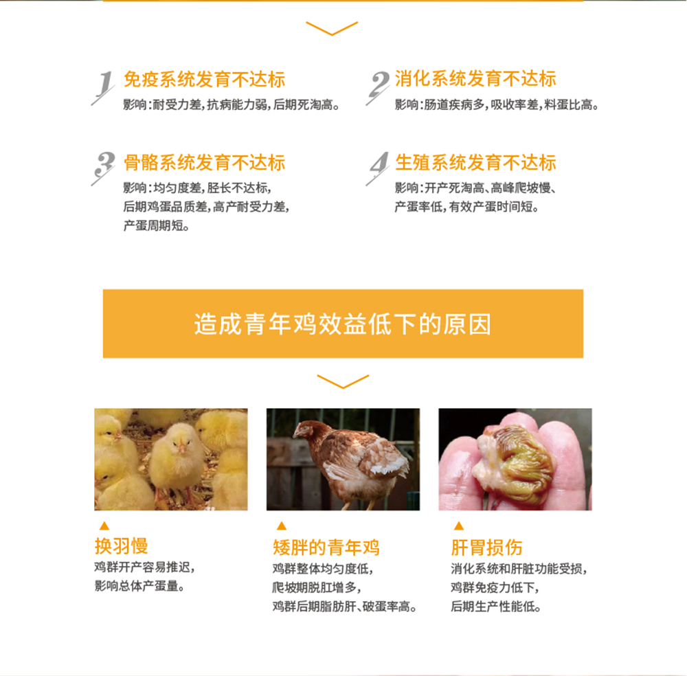 美禽S5系列畫(huà)板 2